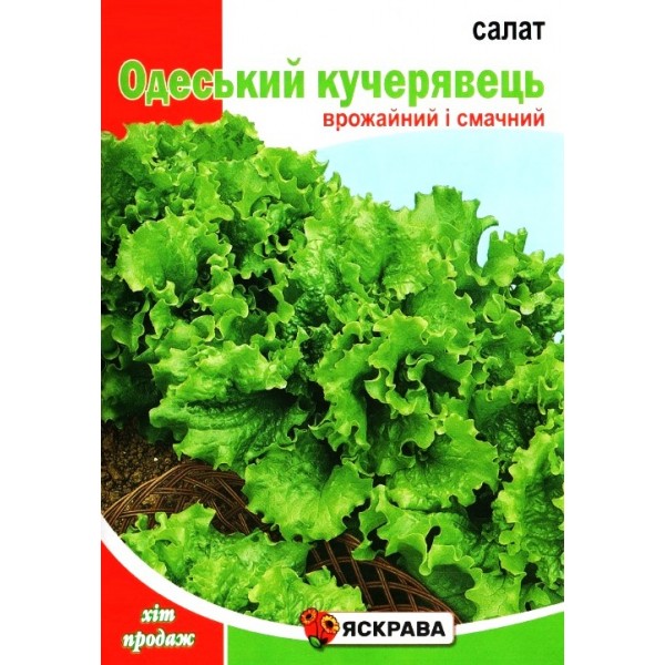 Насіння салату Одеський кучерявець, 10г, ТМ Яскрава